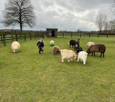 Bezoek aan de kinderboerderij t' Groenhof