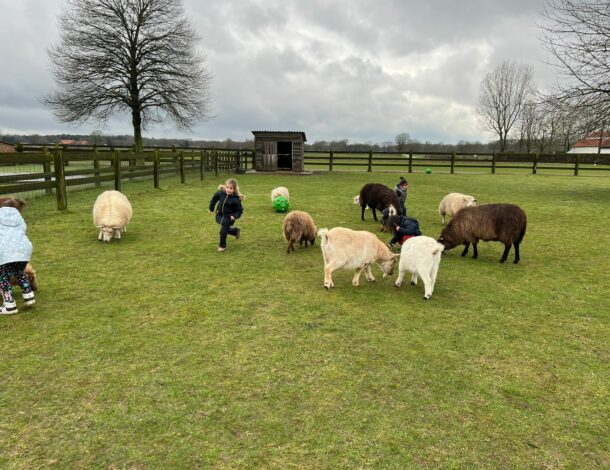 Visit of the children's farm t' Groenhof